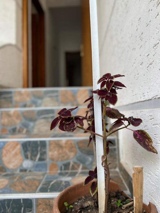 Alex Apartments Σαράντα Εξωτερικό φωτογραφία