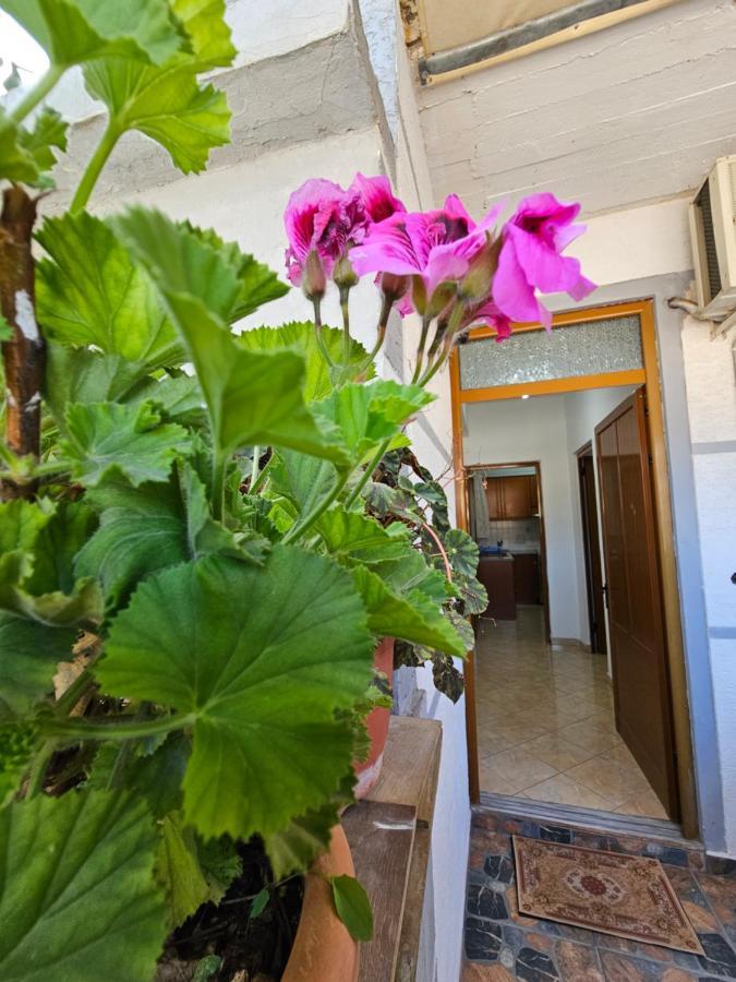 Alex Apartments Σαράντα Εξωτερικό φωτογραφία